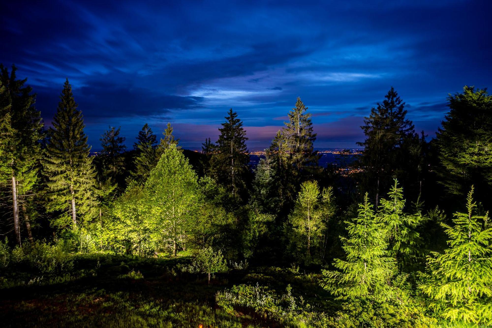 סאסבאכוואלדן Sonnenhaeusle - Natur. Fernblick. Panorama-Sauna. מראה חיצוני תמונה