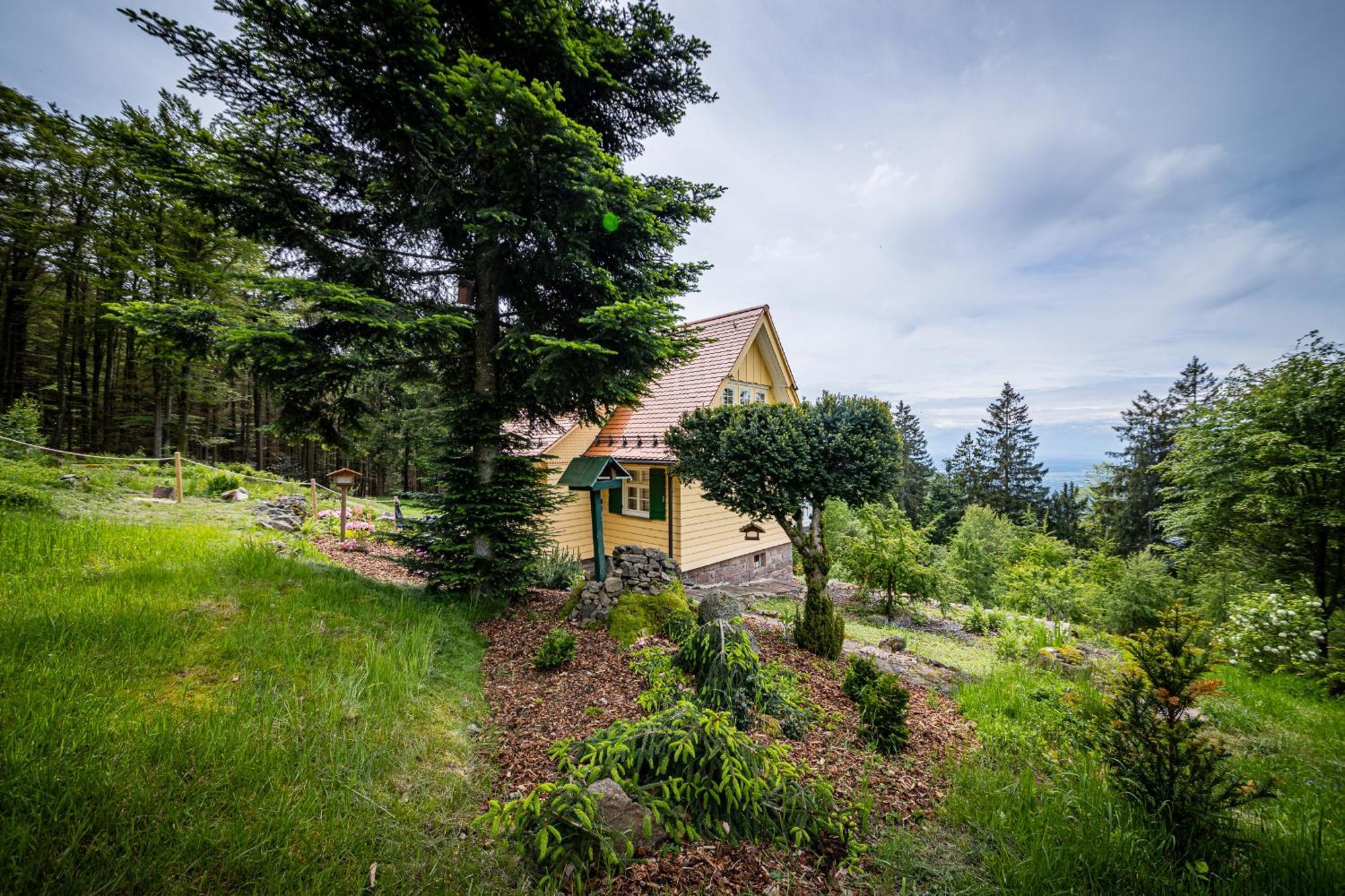סאסבאכוואלדן Sonnenhaeusle - Natur. Fernblick. Panorama-Sauna. מראה חיצוני תמונה