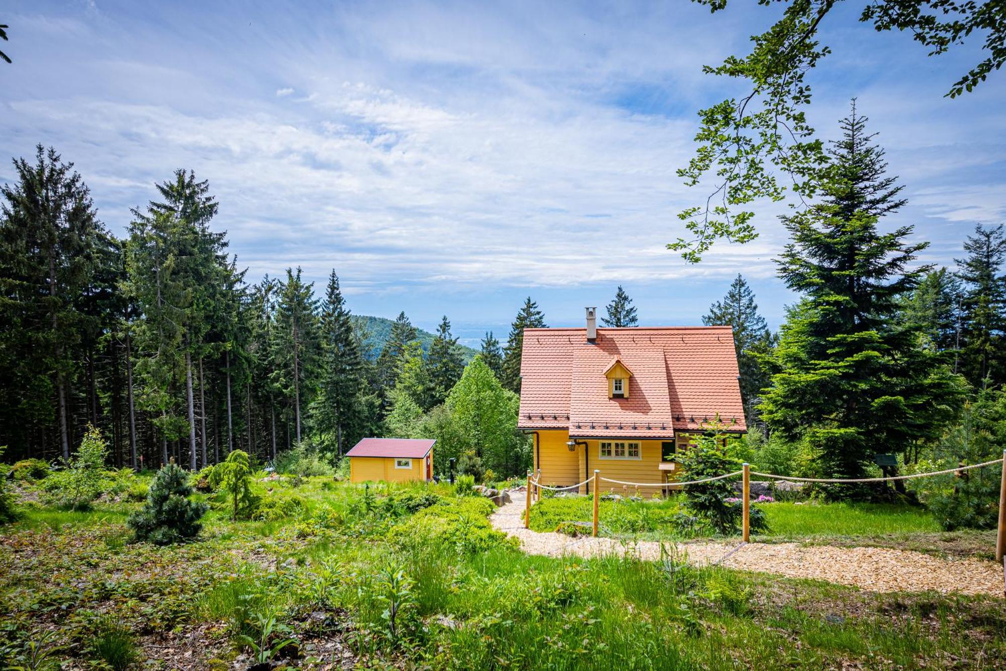 סאסבאכוואלדן Sonnenhaeusle - Natur. Fernblick. Panorama-Sauna. מראה חיצוני תמונה